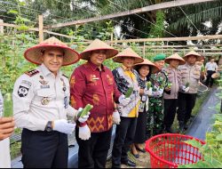 Program Pembinaan WBP, Rutan Kelas l Labuhan Deli Gelar Panen Raya